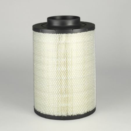 B105012 Donaldson