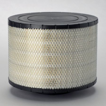 B125005 Donaldson