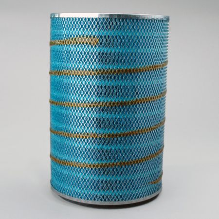 DBA5002 Donaldson