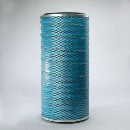 DBA5102 Donaldson